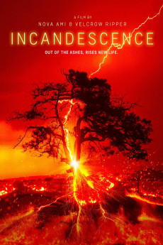 Incandescence (2024)