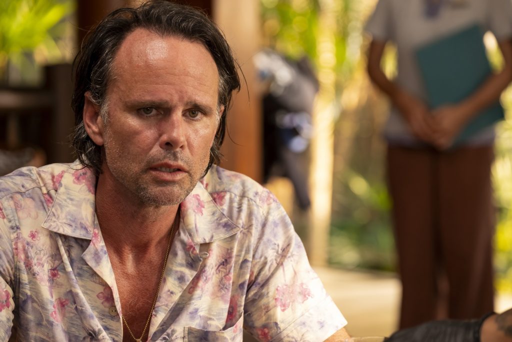 Walton Goggins stars as Rick on 'The White Lotus.'