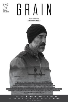 Grain (2017) Grain (2017)