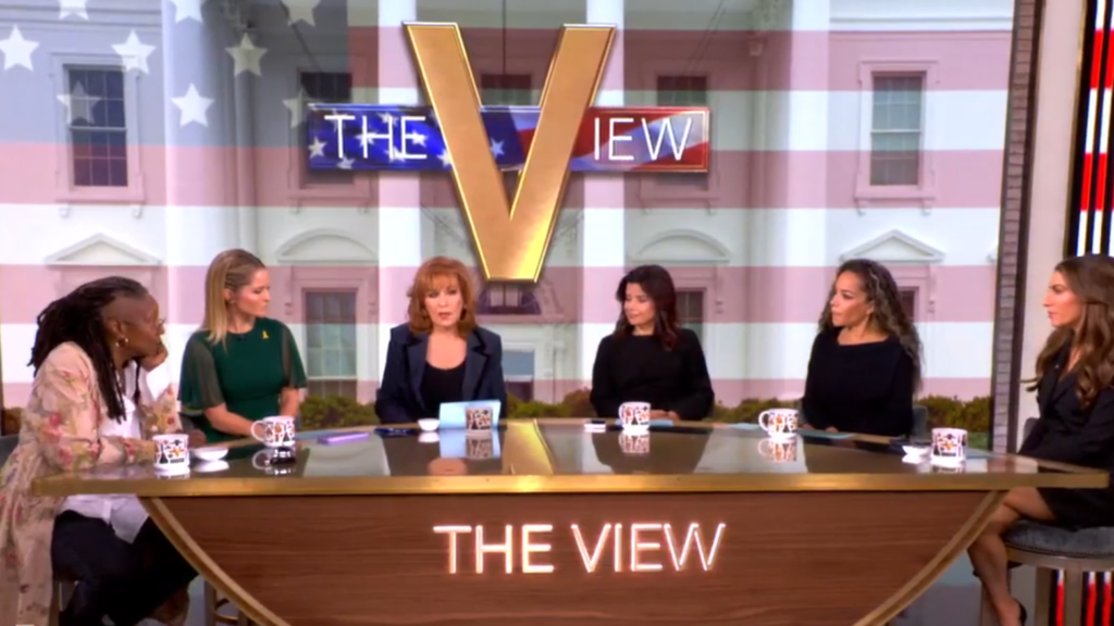 Panelists of The View on November 6, 2024.