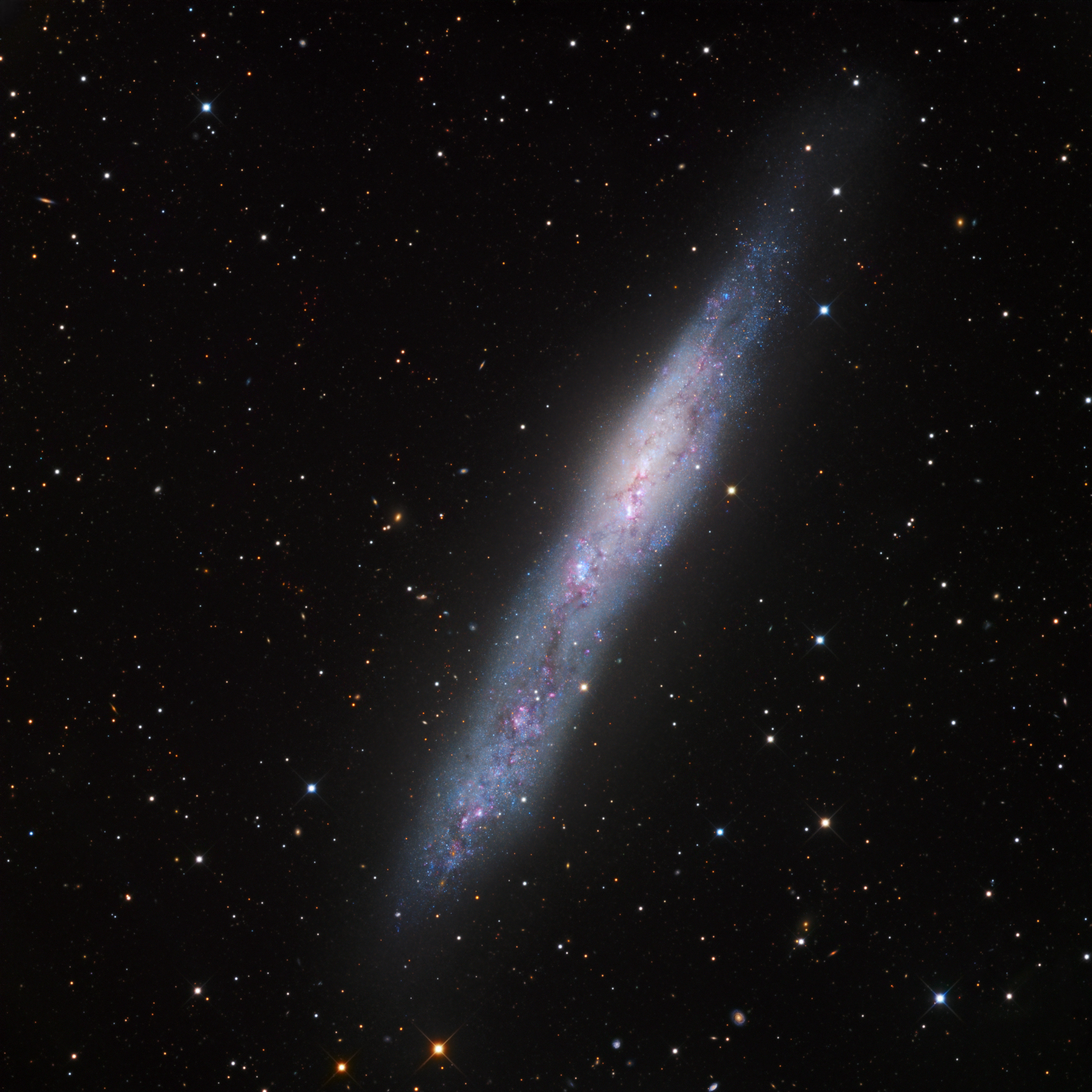 NGC55-LRGB_hager2048.jpg