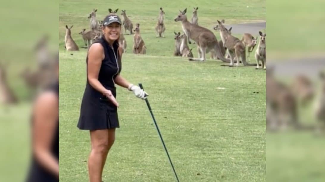 golfing-with-animals-1092x614.jpg