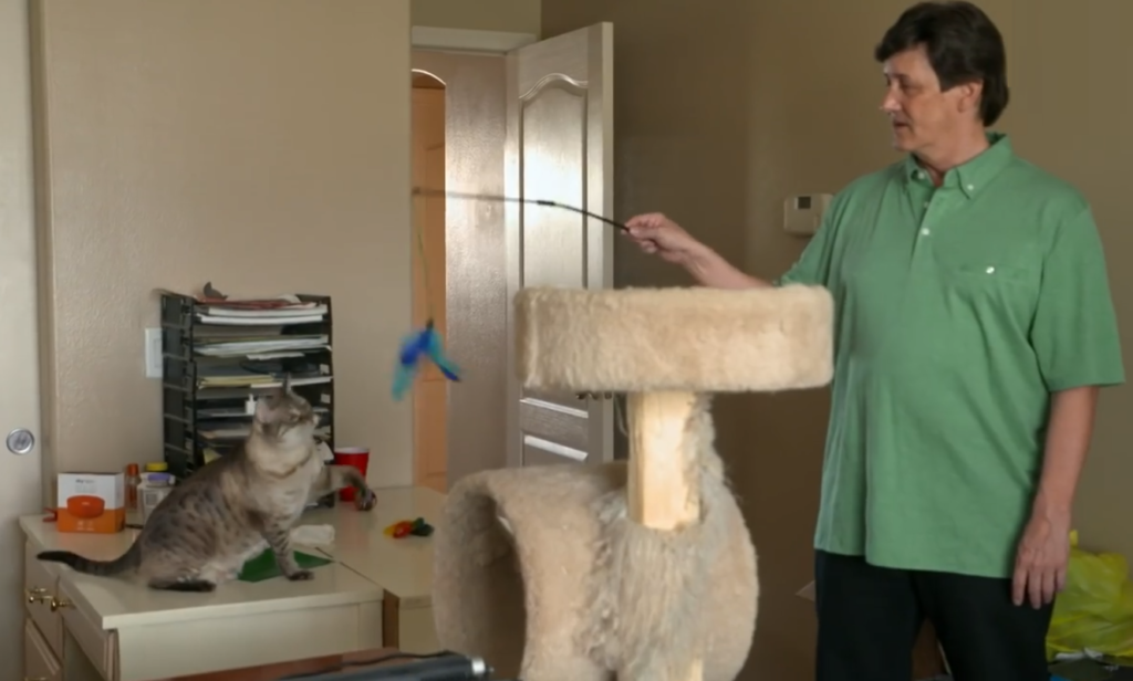 David Murphey and his cat and a cat tree on 90 Day Fiance: Before The 90 Days.