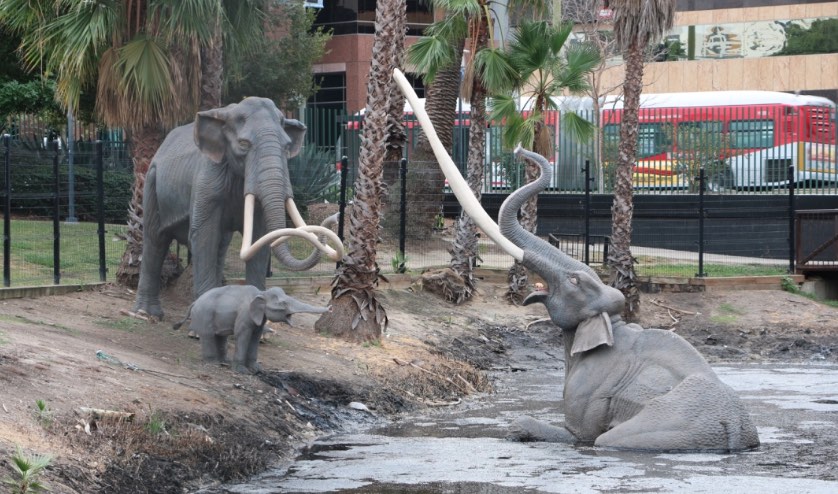 la-brea-tar-pits-elephants.jpg