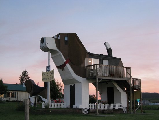 dog-bark-park-inn.jpg