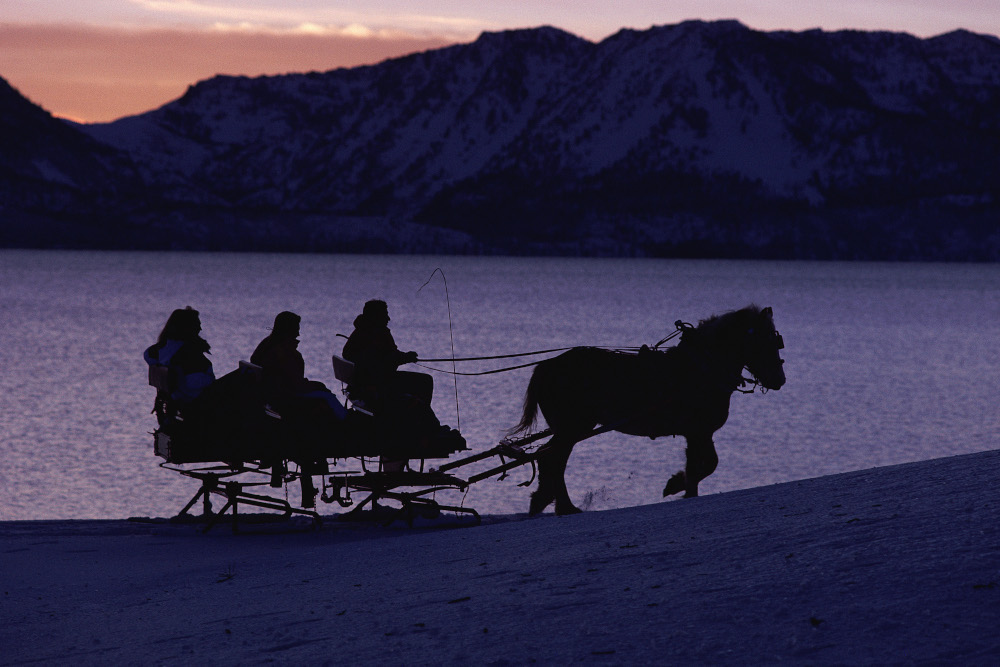 horse-drawn-sleigh.jpg