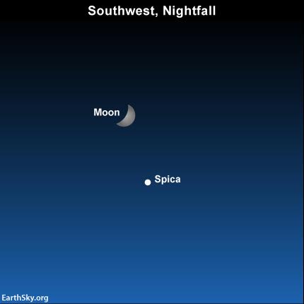 2016-august-8-moon-and-spica.jpg