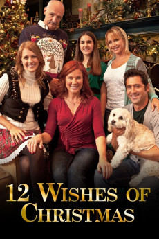 12 Wishes of Christmas (2011)