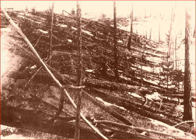 tunguska-fallen-trees-1927.jpg